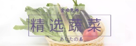 精选蔬菜活动专场海报