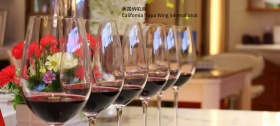 葡萄酒banner