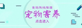 宠物寄养紫色特惠banner图片