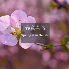 春意盎然门口手机微博封面