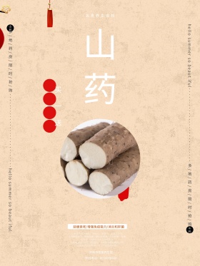 山药美食海报