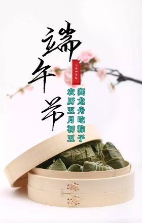 端午节清新手绘简约绿色粽子龙舟海报