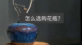 怎么选购花瓶公众号封面