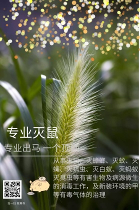 专业灭鼠白鹤绿色简约公众号配图