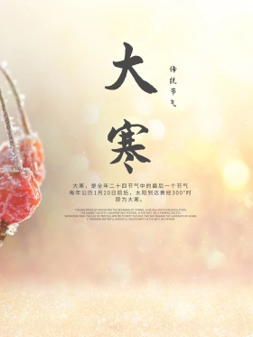 平面广告创意版式设计简约清新梅花冬季二十四节气大寒海报
