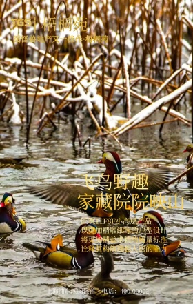 内刊封面手机海报