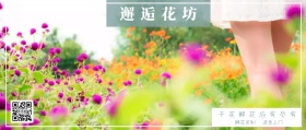 邂逅花坊 鲜花定制 送货上门 干花鲜花应有尽有 文艺清新花店促销公众号封面