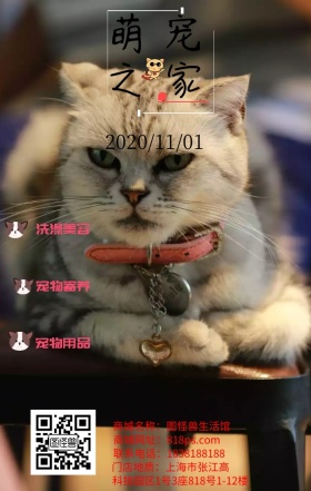 宠物之家欢迎您