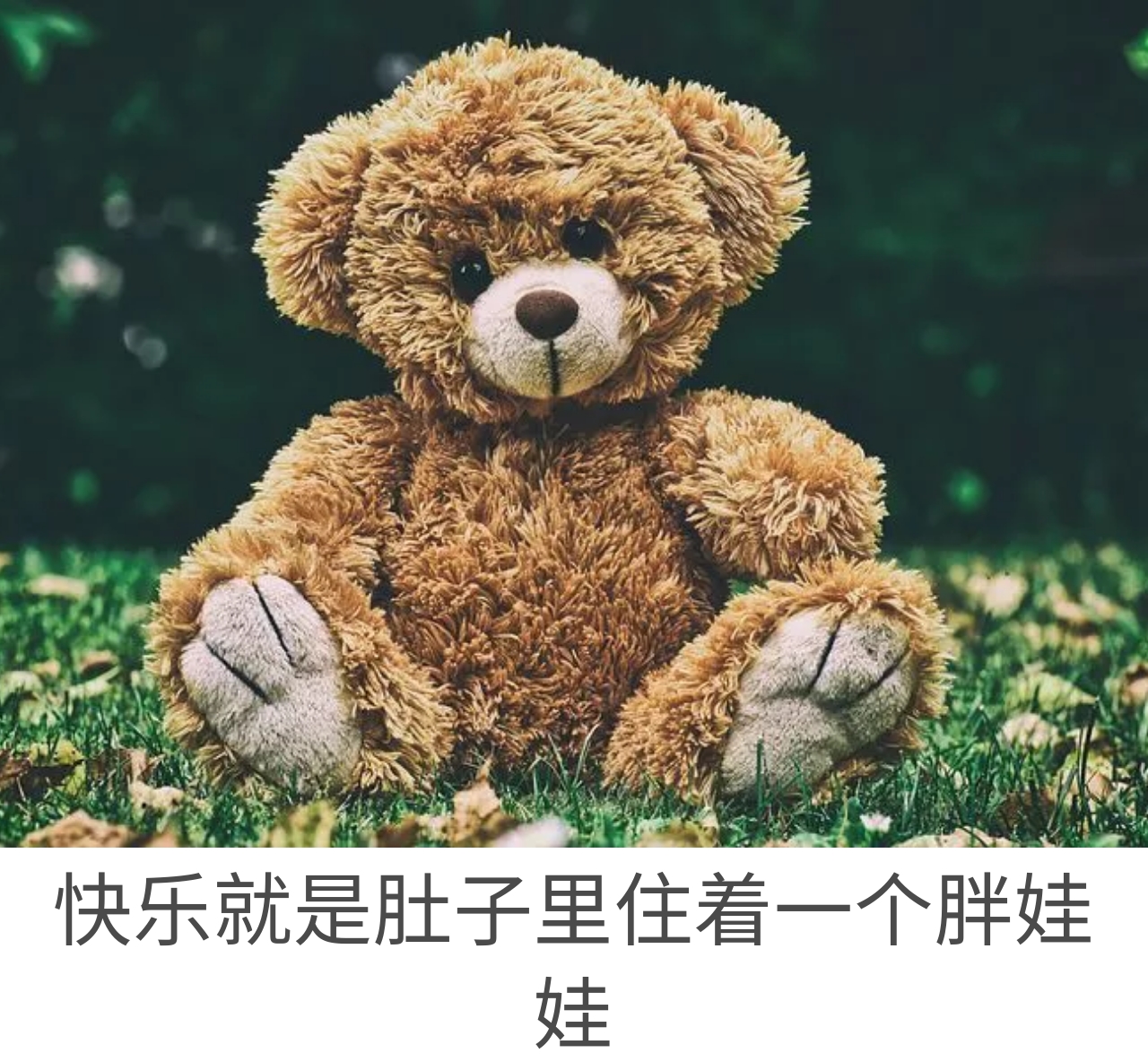 娃娃