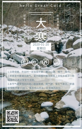 传统二十四节气大寒卡通诗词手机海报