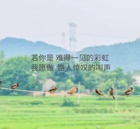 彩虹朋友圈封面