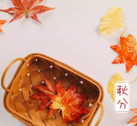 落叶秋分背包与相机落叶的时节里朋友圈封面