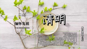 清明节小清新手抄报