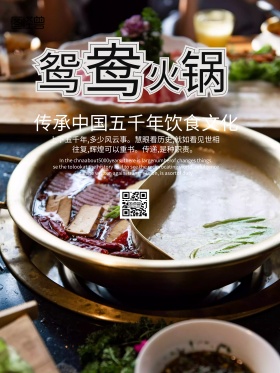 中国风鸳鸯火锅海报