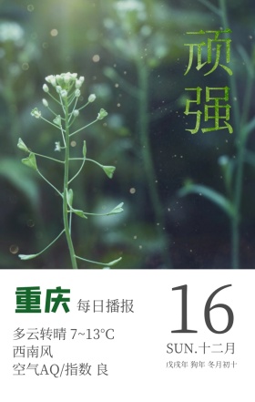 重庆市每日早讯播报手机海报