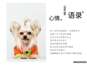 心情语录简约文艺公众号配图模板