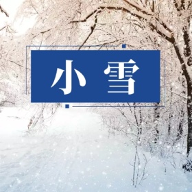 蓝色摄影简约树枝小雪节气公众号封面小图