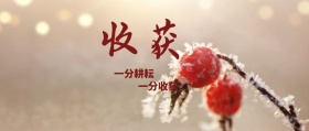 抽象麦穗公众号封面