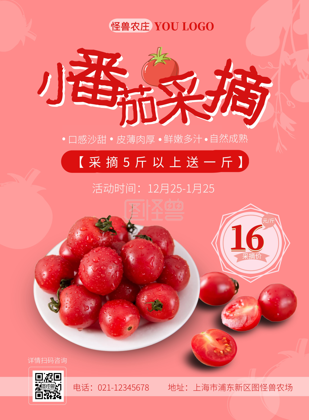 小番茄采摘促销活动红色摄影图水果圣女果