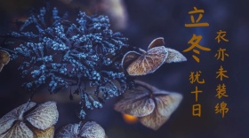 立冬诗句公众号封面