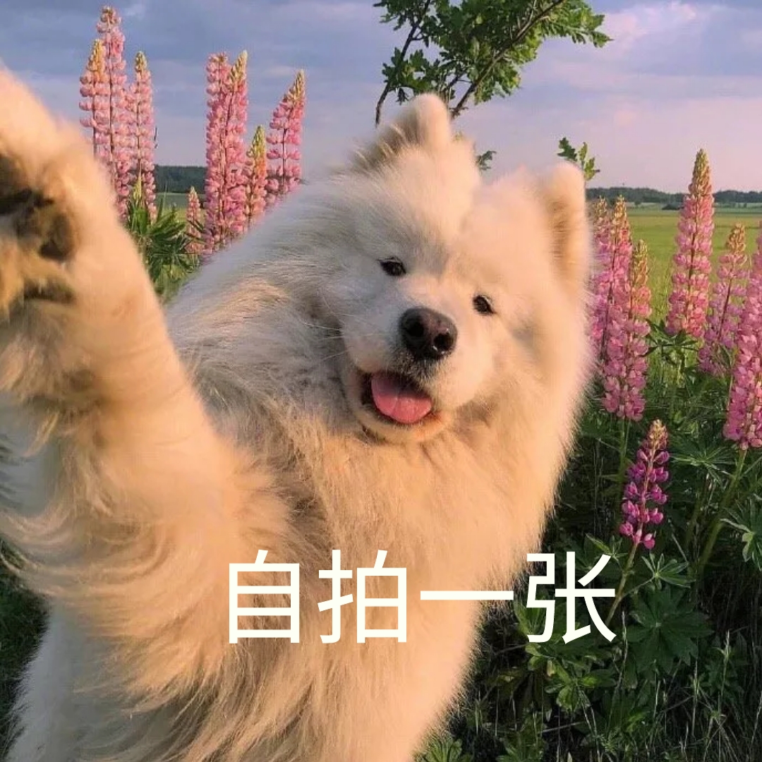 自拍自拍