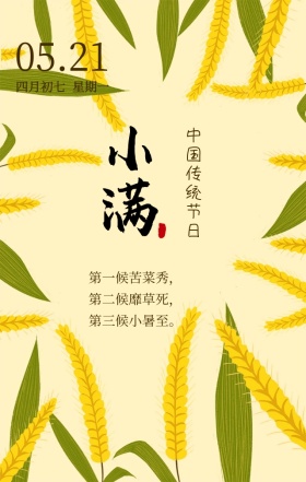 小满中国传统节日黄色简约手机海报