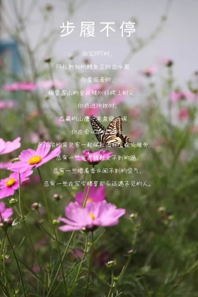 步履不停简约励志简约公众号配图