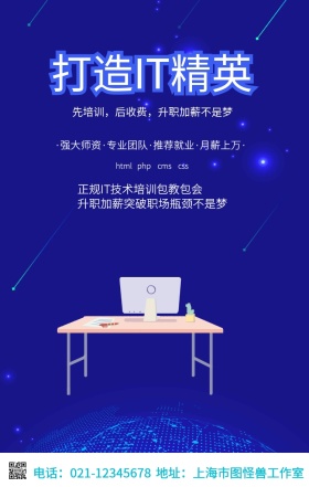 简约IT精英培训手机海报