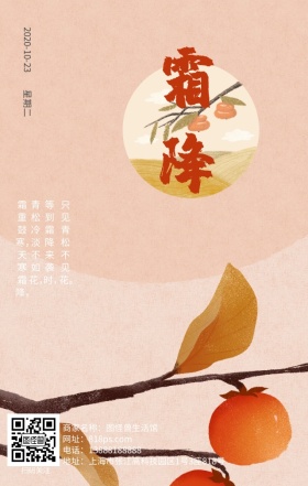 叶子霜降节气下雪黄色简约日签