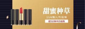 红色214情人节限时半价banner图片