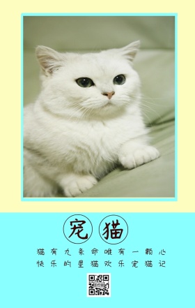 宠猫 猫有九条命唯有一颗心 快乐的星猫欢乐宠猫记 卡通宠物猫之日可爱手机海报