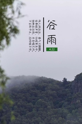 谷雨水滴公众号配图