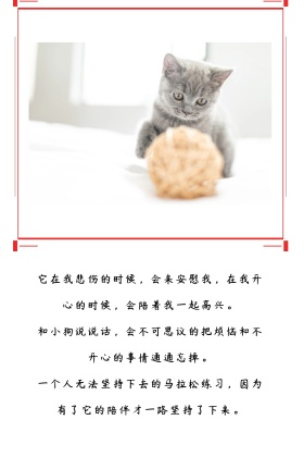 小狗红色文艺公众号配图