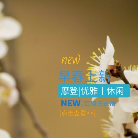 2018早春新品连衣裙直通车主图