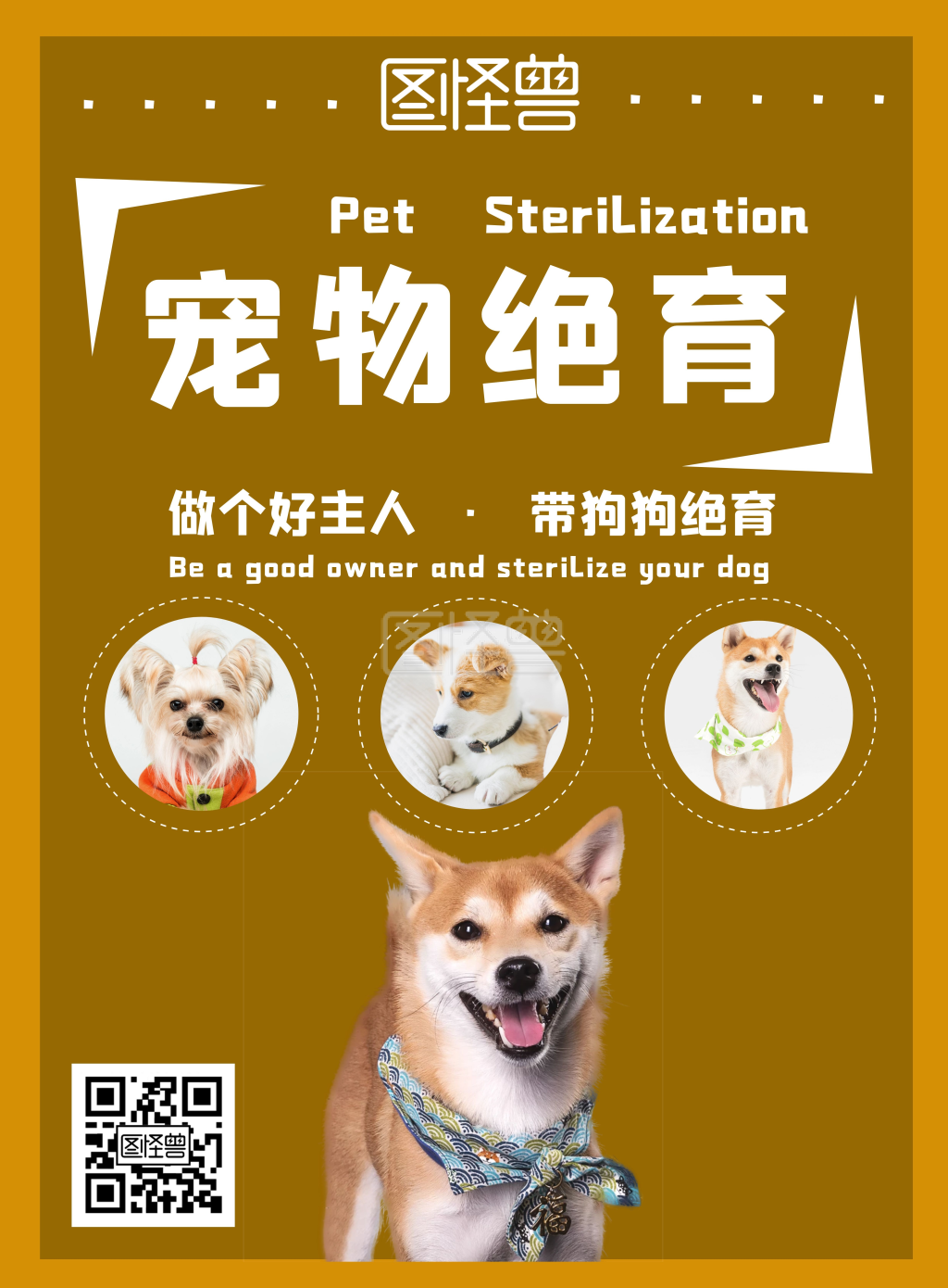 宠物狗狗绝育简约棕色宣传海报