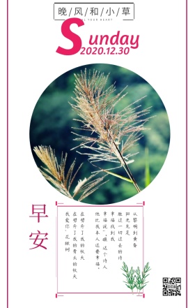 小草日签