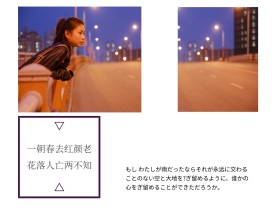 文艺简约春花伤感公众号配图