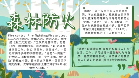 森林防火宣传手抄报