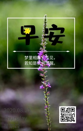 绿色森林树林简约清新早安心语营销日签励志