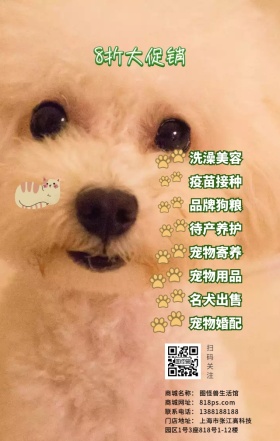 宠物动物萌宠狗狗海报