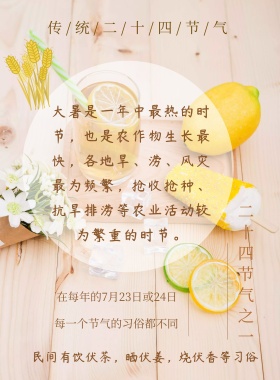 大暑节日宣传海报