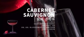 淘宝电商天猫红酒新品促销海报banner模板设计