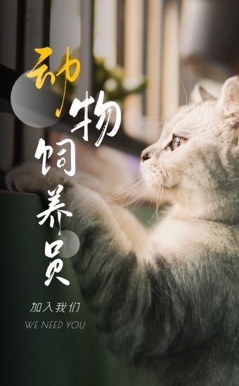 清新文艺时尚摄影风动物饲养员招聘h5模板