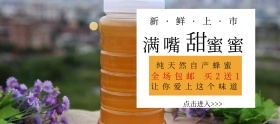 蜂蜜吃货节黄色简约淘宝banner