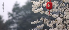 黄色赏花出游季花海世界小屋国庆促销海报淘宝banner