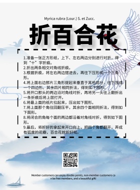折百合花简约教程ins风印刷海报