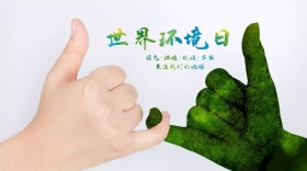 环境日简约手绘公众号封面模板