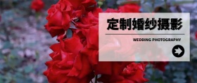 定制婚纱摄影 WEDDING PHOTOGRAPHY 婚纱摄影结婚婚礼公众号封面