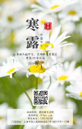 寒露节气饮酒菊花日签