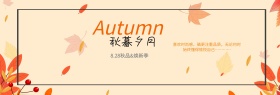 电商淘宝秋季秋天秋日秋装女装促销海报banner